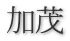 加茂